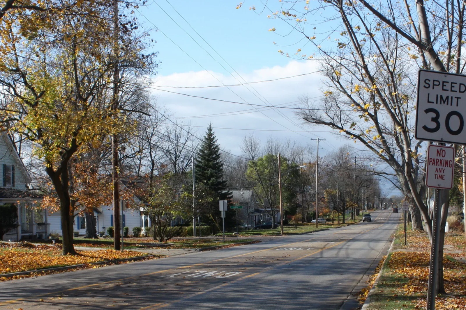 Autumn streetscape in Fenton, Michigan